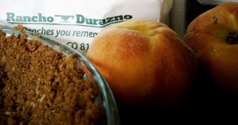 t737 443405 06005 0000012201390139003103020000