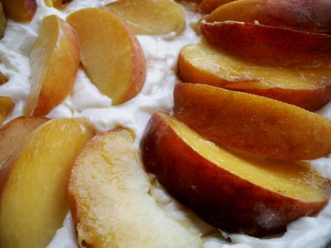 t737 482360 11005 0001012202710284003103020000